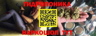 дмт Заволжье